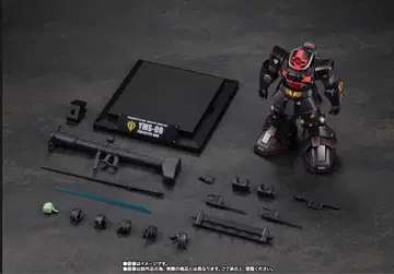 ROBOT혼 YMS-09 프로토타입 돔 ver. A.N.I.M.E