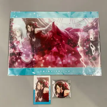 프로세카 시라이시 안 준 브라 세트