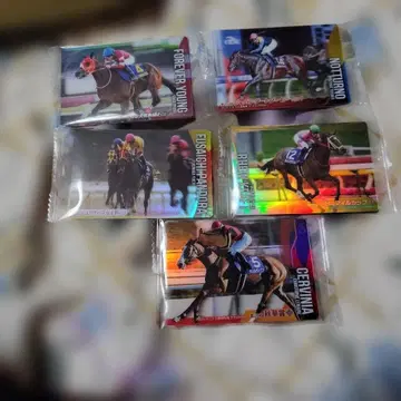 서러브레드 호스 컬렉션 5종