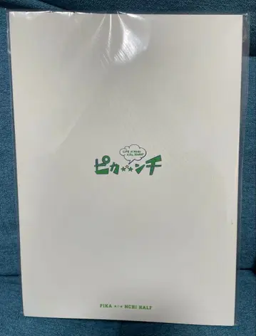 아라시 피카 NCHI 하프 (PIKA NCHI HALF) 팜플렛
