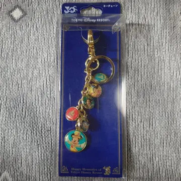 디즈니 30주년 키체인