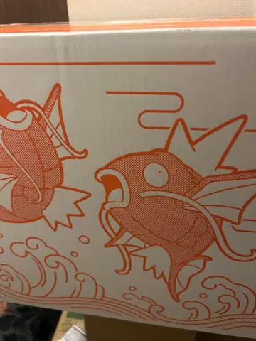 새상품 미개봉 포켓몬 피카피카 박스 2026 초레어 코이킹