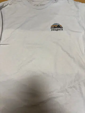 patagonia L 사이즈 T셔츠 산 디자인