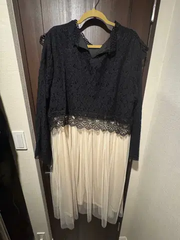 [빅 사이즈] 레이스와 쉬폰의 파티 드레스