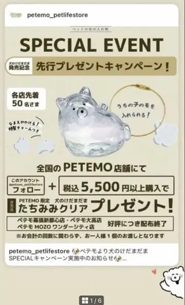 강아지 타임캡슐 반려동물 털 보관함 사랑하는 개