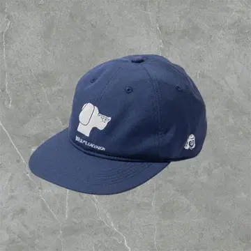 TACOMA FUJI RECORDS DOG IS MY SALVATION