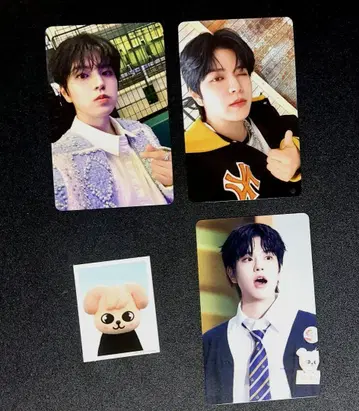 straykids 팬미팅 토이와 봉입&HMV 트레이딩 카드 승민