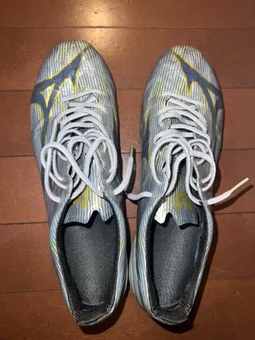 미즈노 알파 재팬 2 26.5cm