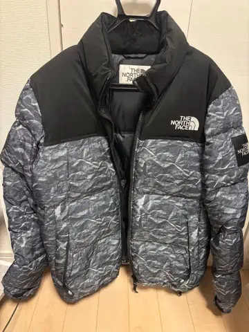 THE NORTH FACE 다운 자켓