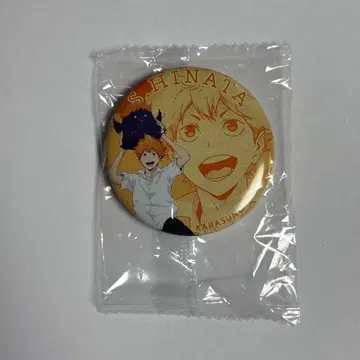 하이큐 캔뱃지 히나타 쇼요