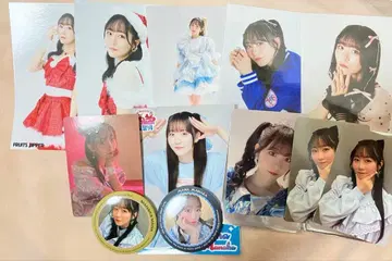 FRUITS ZIPPER 마나카 마나 묶음 판매