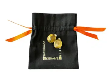 도미니크 드 네브 ADINA 귀찌