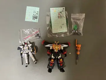 RG 톨기스, 가오가이거