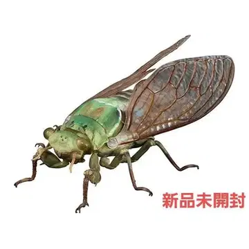 미카도민민 생물대도감 어드밴스 매미 미개봉 새상품