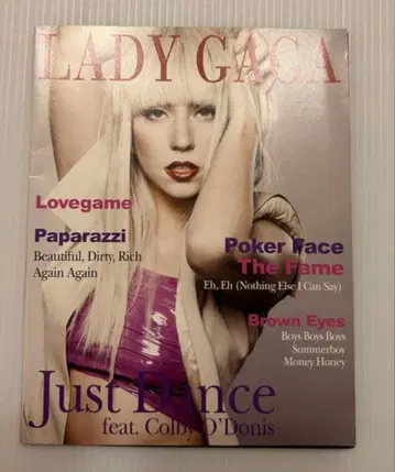 레이디 가가 프로모션반 2009년 더 페임