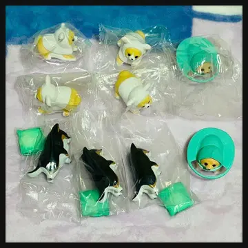 치와와 생활 애니멀 컬렉션 다두 사육