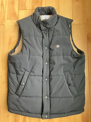 Champion 다운 베스트