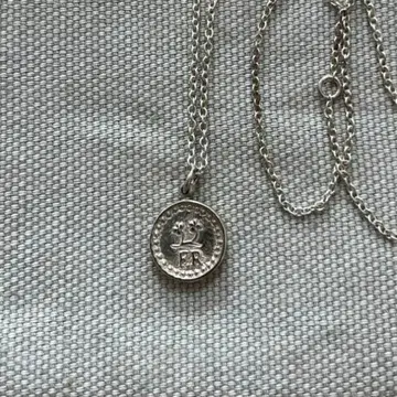 플렉스 팜 목걸이