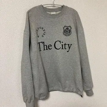 WISH FOREVER 그레이 맨투맨