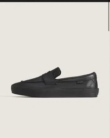 VANS 스케이트 로퍼