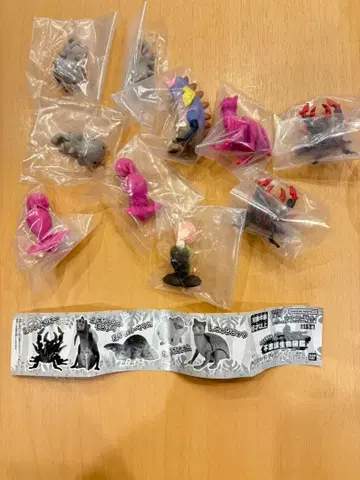 우스다 쿄스케 선생님 [ 이상한 생물 도감 ] 피규어