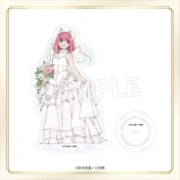 신의 탑 세카이 아크릴 피규어 카논 B상 웨딩 복권