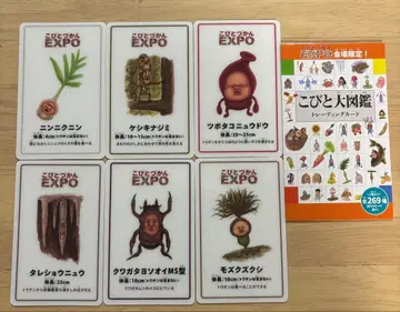 코비토즈칸 Expo 트레이딩 카드 6장 세트