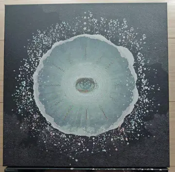 siip 가이아 완전 생산 한정판 당일 발송