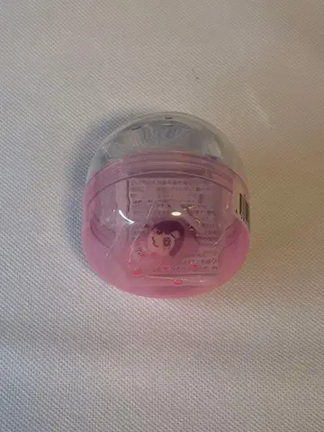 미치에다 슌스케 메지루시 참