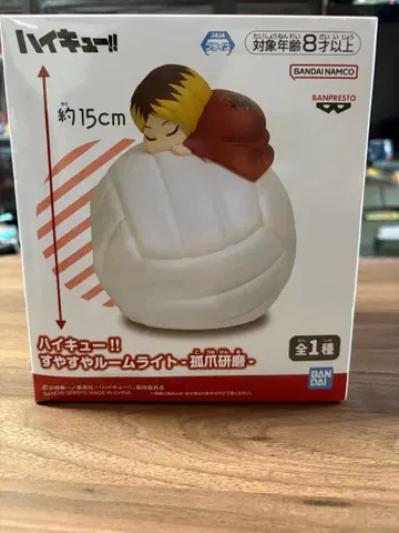 하이큐!! 코즈메 켄마 룸 라이트