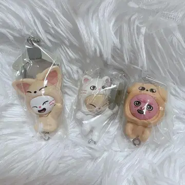 skzoo 스키즈 가챠 츠마츠나 지니레트 폭시니 돼끼