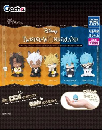 트위스테 어깨 쿵 Fig 레오나 잭 세트