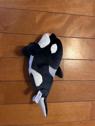 범고래 봉제 인형 수족관 한정품 안에 방울