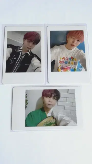 팬더드래곤 아즈 하피카