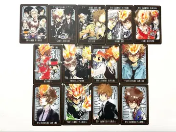 보드게임 사와다 츠나요시 13장