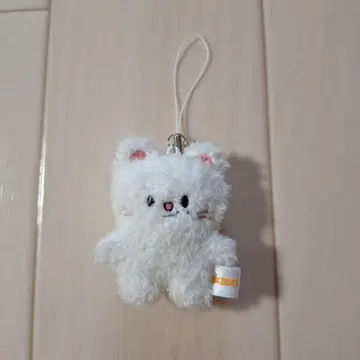 마이크로지니레트