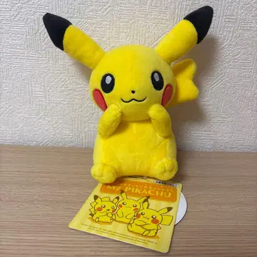 나의 피카츄 암컷 볼