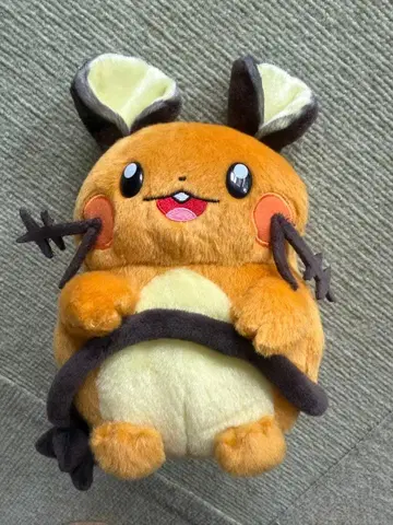 데덴네 봉제 인형 너로 정했다