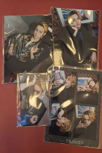 호텔 알바트로스 고토게 베테랑 다치바나 유우타 브로마이드 세트