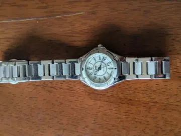 여성용 스테인리스 스틸 시계