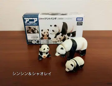 신신 샤오샤오 레이레이 아니아 애니멀 어드벤처 우에노 동물원