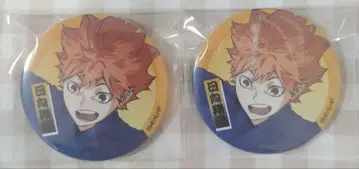 하이큐!! 히나타 쇼요