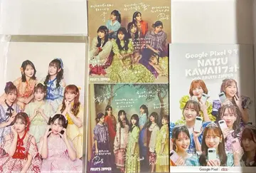 후르츠 지퍼 엽서 24장 세트