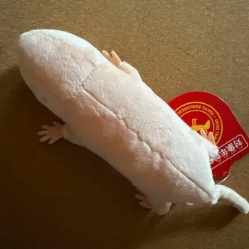 [ 우에노 동물원 ] 벌거숭이두더지쥐 봉제 인형