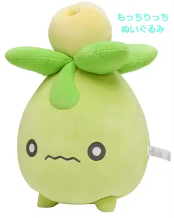 레어! 포켓몬 미니브 모찌리치 봉제 인형 포켓몬 센터