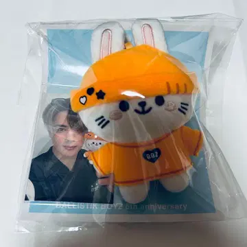 카이누마 류세이 봉제 인형 키링 포토 카드 세트