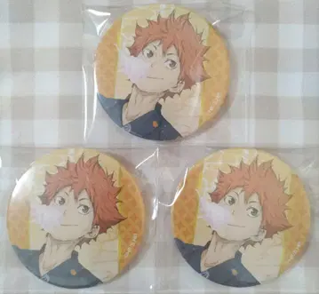 하이큐!! 히나타 쇼요