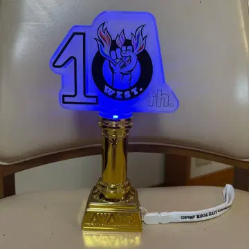 10th Award WEST 응원봉