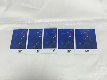 Sir Vanity 폴라로이드풍 카드 나카지마 요시키