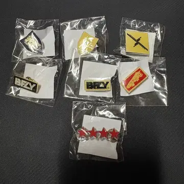 BUMP OF CHICKEN 핀 배지